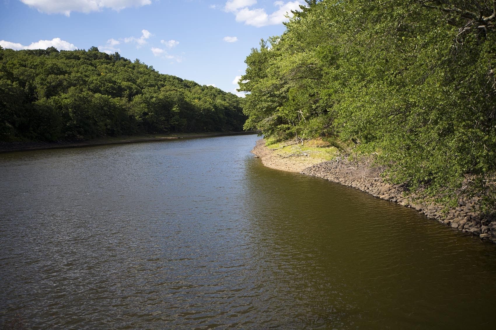 The water level was low at the Cambridge Reservoir in Lincoln on July 26. (Jesse Costa/WBUR)