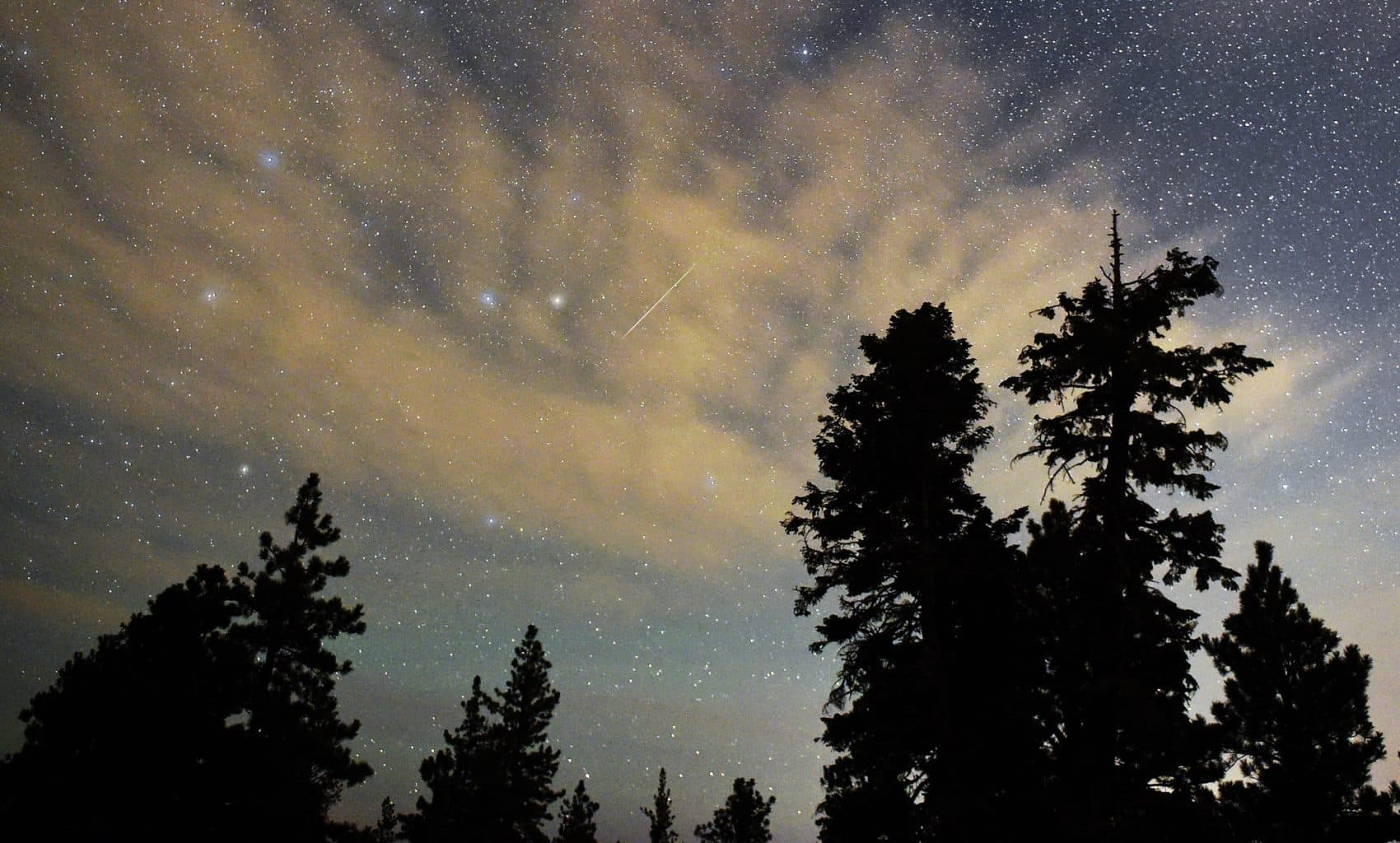 A Perseid meteor streaks across the sky above desert pine trees on Aug. 13, 2015 in the Spring Mountains National Recreation Area, Nevada. (Ethan Miller/Getty Images)