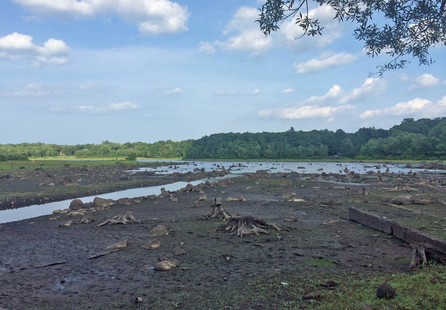 As the state's drought worsens, some drinking water reservoirs are doing fine, others aren't. That's the story in Scituate. Pictured here, the town's primary water source, the Scituate Reservoir, is getting low. (Qainat Kahn for WBUR)