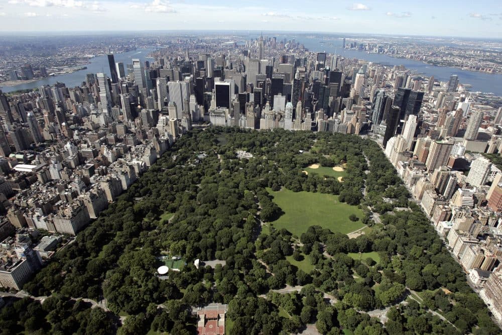 An aerial view of Manhattan looking south over Central Park on July 1, 2007 in New York City. (Stan Honda/AFP/Getty Images)