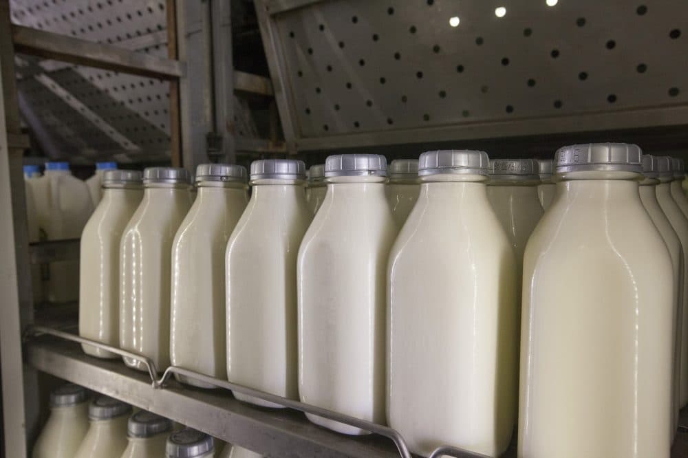 Milk in Shaw Farm's retail shop. (Joe Difazio for WBUR)