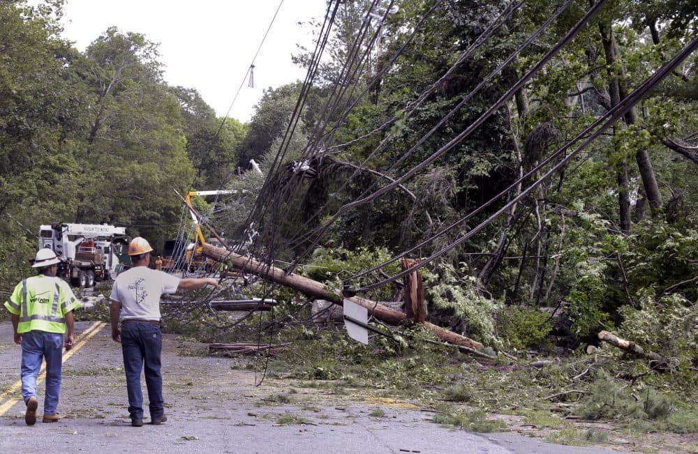 Workers observe downed trees and power lines. There were no reports of injuries or fatalities from Monday's tornado. (Elise Amendola/AP)