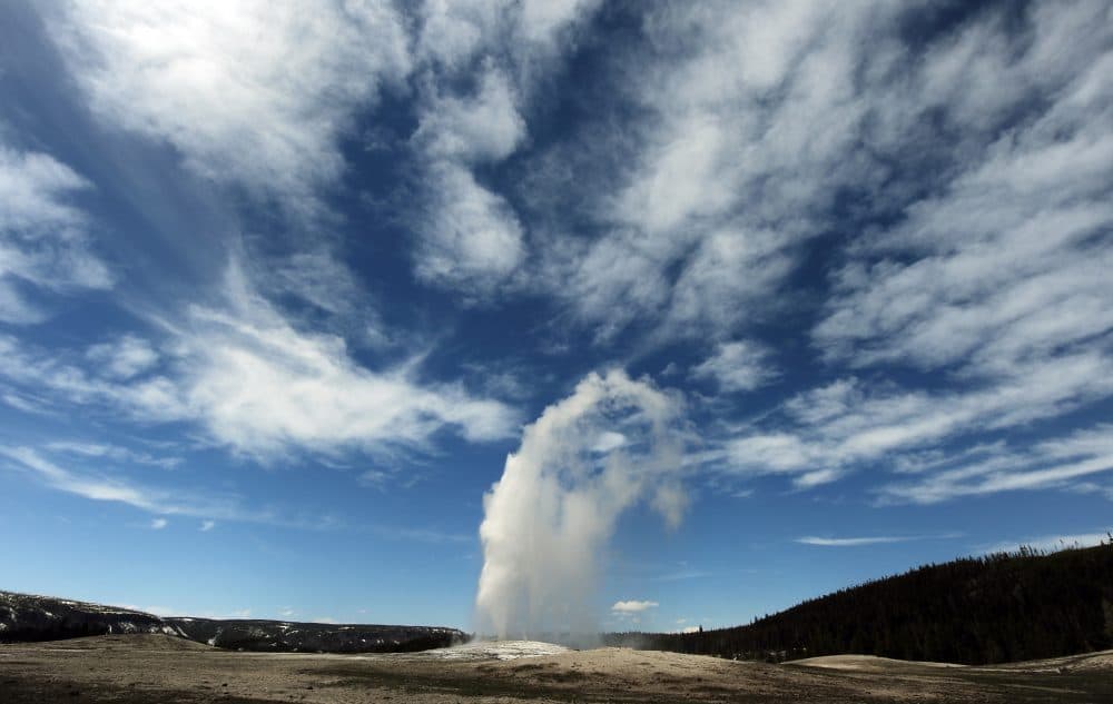 A view of the Old Faithful geyser at Yellowstone National Park on June 1, 2011. (Mark Ralston/AFP/Getty Images)