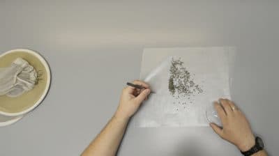 Uncertainty And The Zika Virus: Why Scientists Need To Think Like Poets