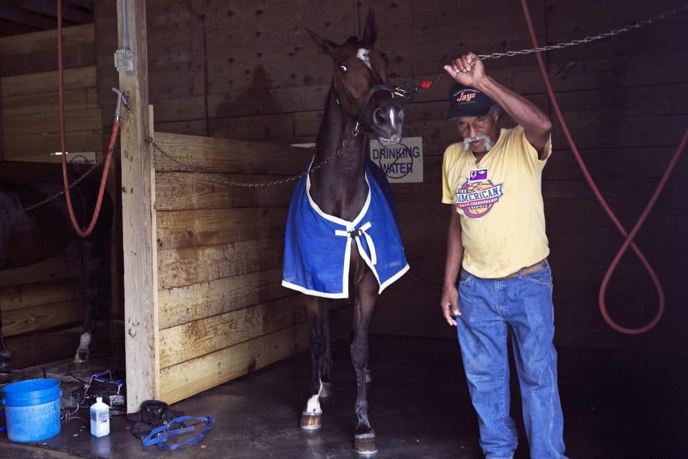 Groom Herbert Brewster Jr. washes off Chaplain Hall after a race in the stables of Plainridge Park on June 23. (Lauren Owens/The Eye)