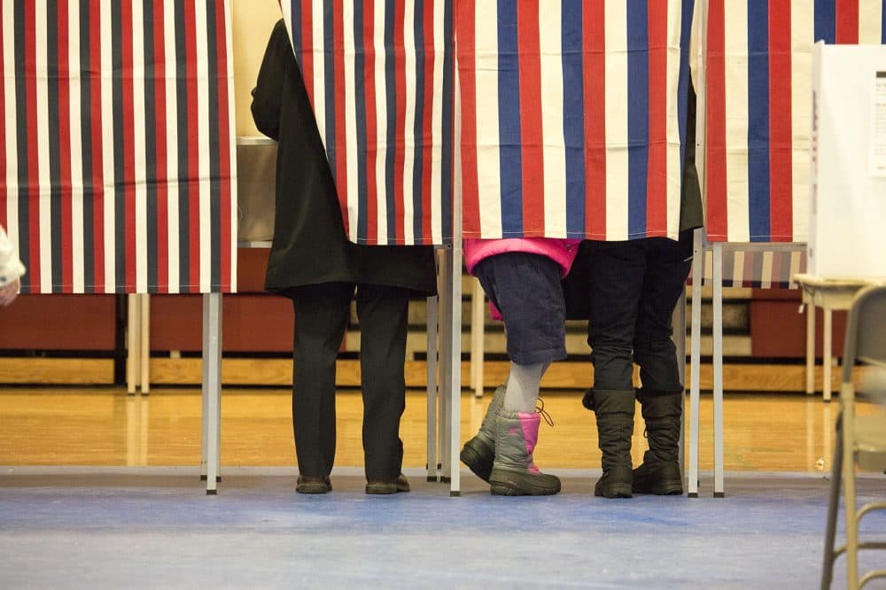 Voting booths in Bedford High School in New Hampshire as seen during the primary in February. (Jesse Costa/WBUR)