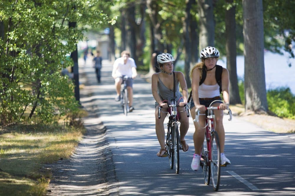 Cyclists ride their bikes along the Charles River by Storrow Drive in Boston. (Jesse Costa/WBUR)