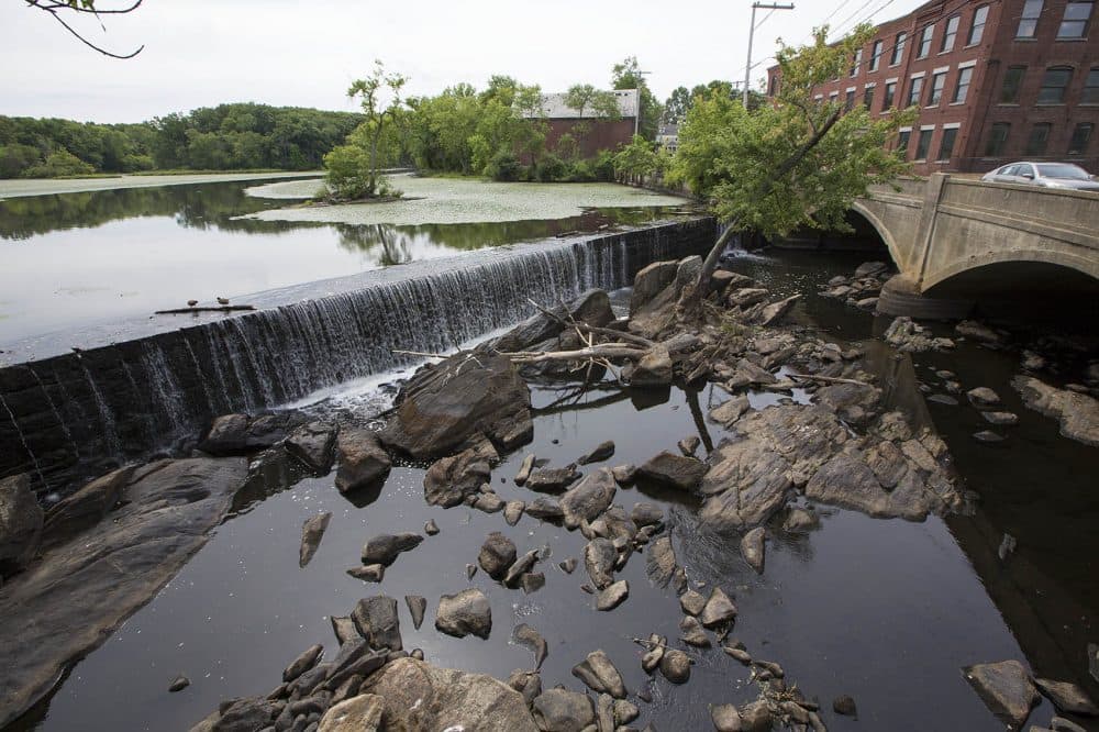 Under the current drought conditions, the Concord River merely trickles over the Faulkner/Talbot Mill Dam. Billerica DPW head Abdul Alkhatib says the smaller rocks at the base of the dam are not usually seen when the river is flowing at normal capacity. (Jesse Costa/WBUR)