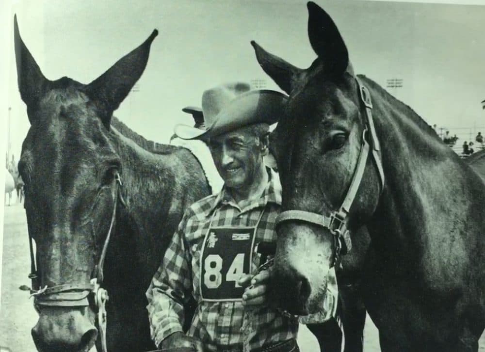 The Great American Horse Race live up to its name. Well, most of its name. Here's Virl Norton with mules Lord Fauntleroy and Lady Eloise. (Courtesy of Curt Lewis)