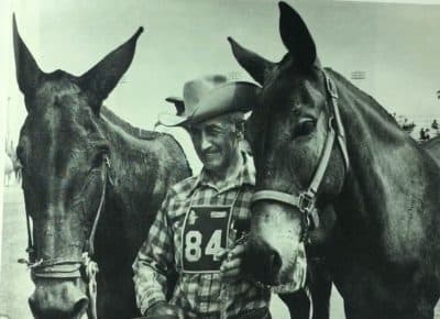 How A Steeplejack, A Teenager And A Mule Won The Great American Horse Race
