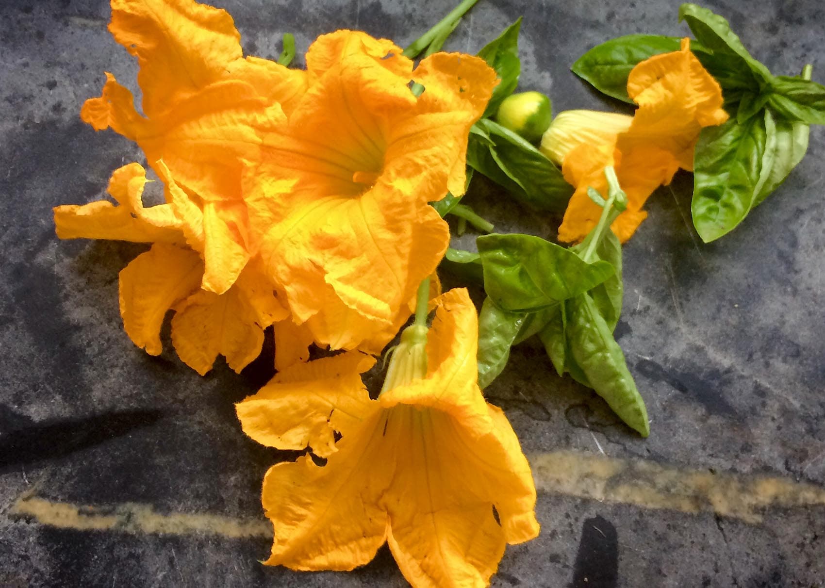 Flowers for Kathy's stuffed zucchini blossoms. (Kathy Gunst for Here &amp; Now)