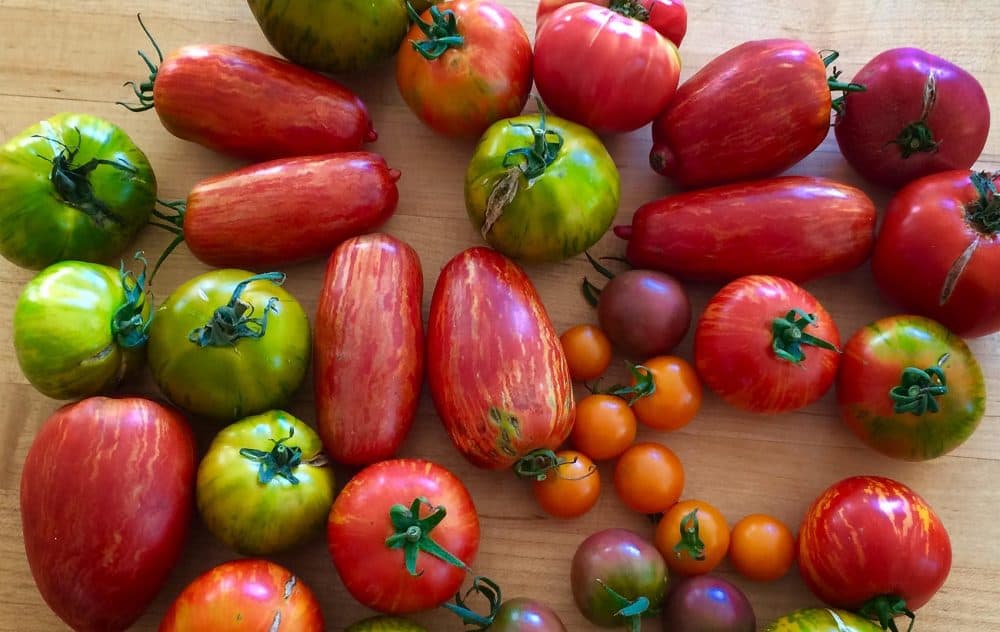 People with a plethora of tomatoes or peppers might have run out of ideas for how to use them. (Kathy Gunst for Here & Now)