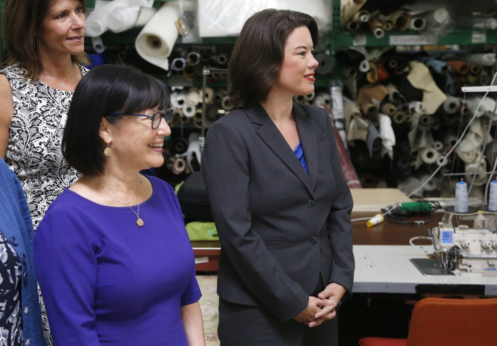 District Profile: Controversial Republican, Former Executive Compete For Minnesota's Open Seat