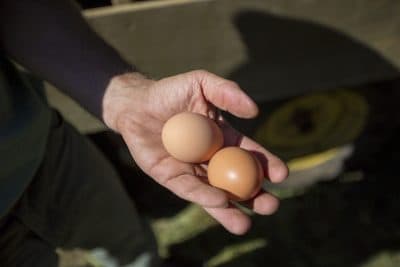 The price of eggs could skyrocket if the state Legislature doesn't act fast