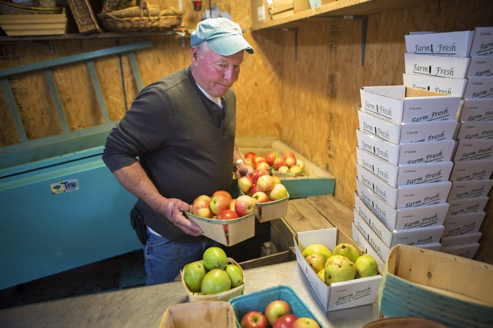 Medieros boxes up apples and pears after they have been washed and shined at his farmstand. (Jesse Costa/WBUR)