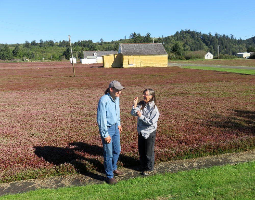 Cranberry growers David Cottrell and Connie Allen want to see more action to defend the valuable cranberry bogs between Grayland and North Cove, Washington. (Tom Banse/Northwest News Network)