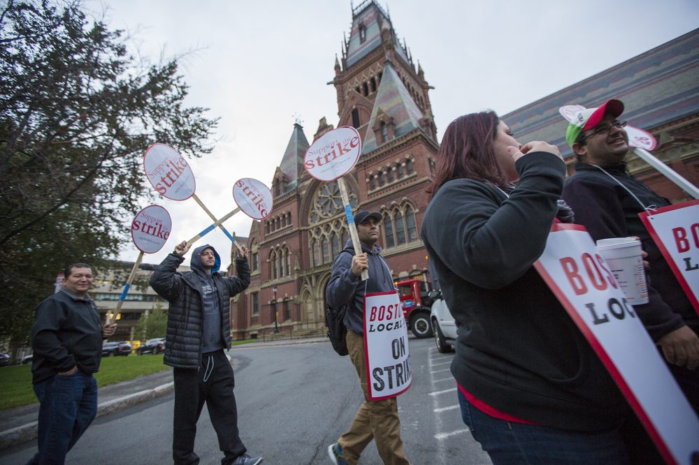 Workers picket outside Memorial Hall. (Jesse Costa/WBUR)