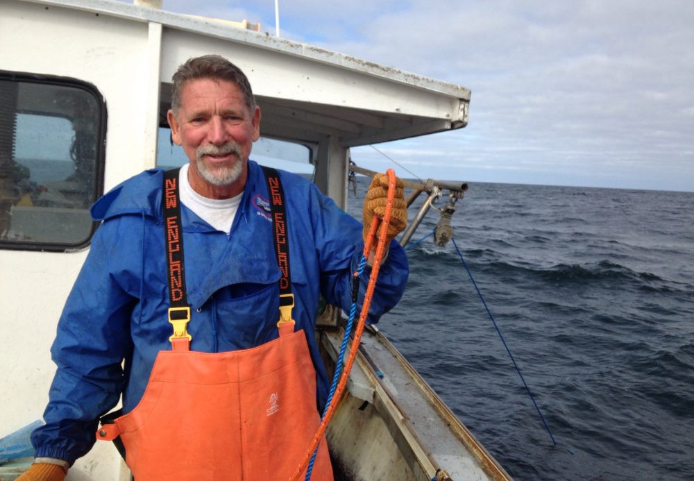 John Haviland holds up a modified rope he's using to catch lobster off the coast of Massachusetts. It has a lower breaking point than a standard fishing line so that whales can break through it more easily. (Peter O'Dowd/Here & Now)