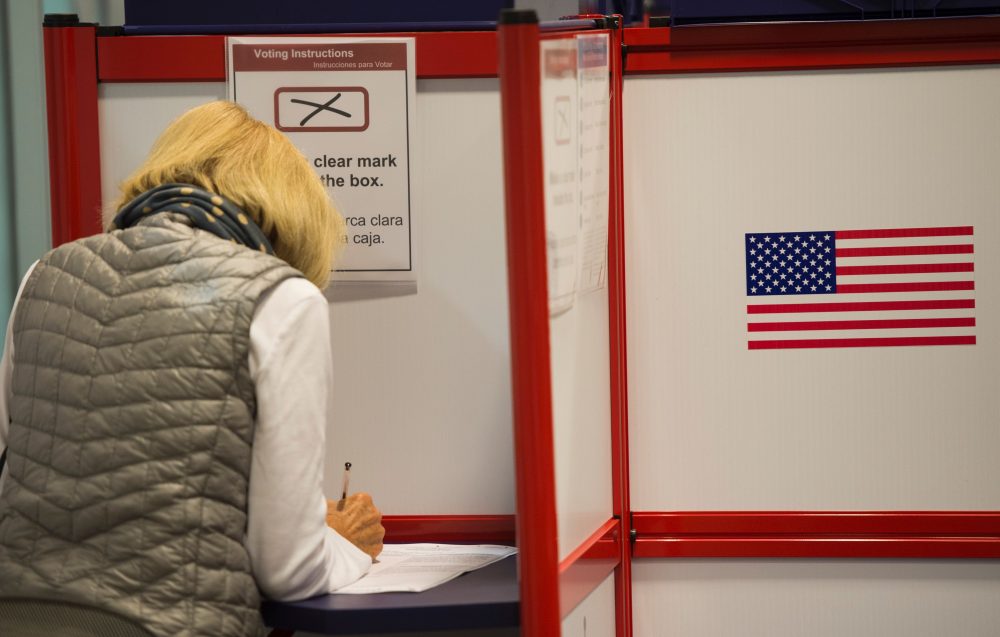 A woman votes at an absentee voting station in Arlington, Va., on Oct. 12, 2016. (Andrew Caballero-Reynolds/Getty Images)