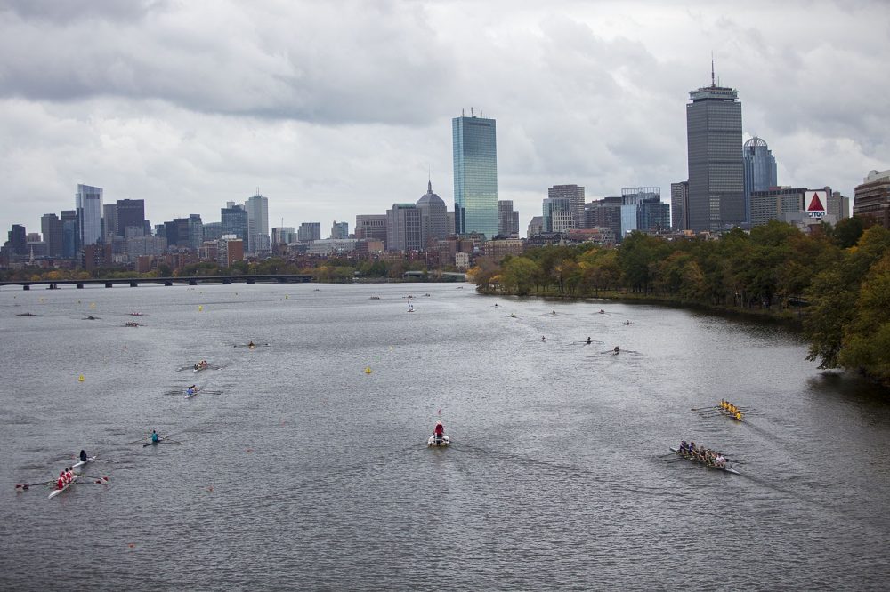 Rowers preparing for the Head of the Charles Regatta on Friday. (Jesse Costa/WBUR)