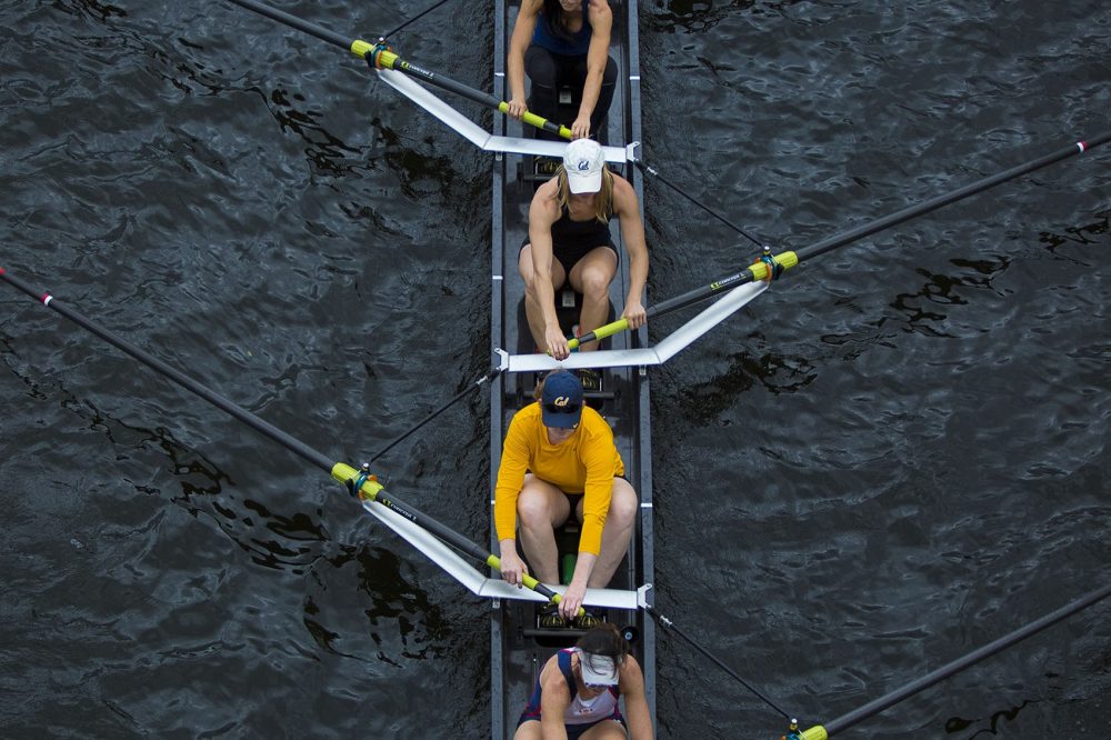 A rowing team from University of California trains on Friday before the weekend regatta kicks off. (Jesse Costa/WBUR)