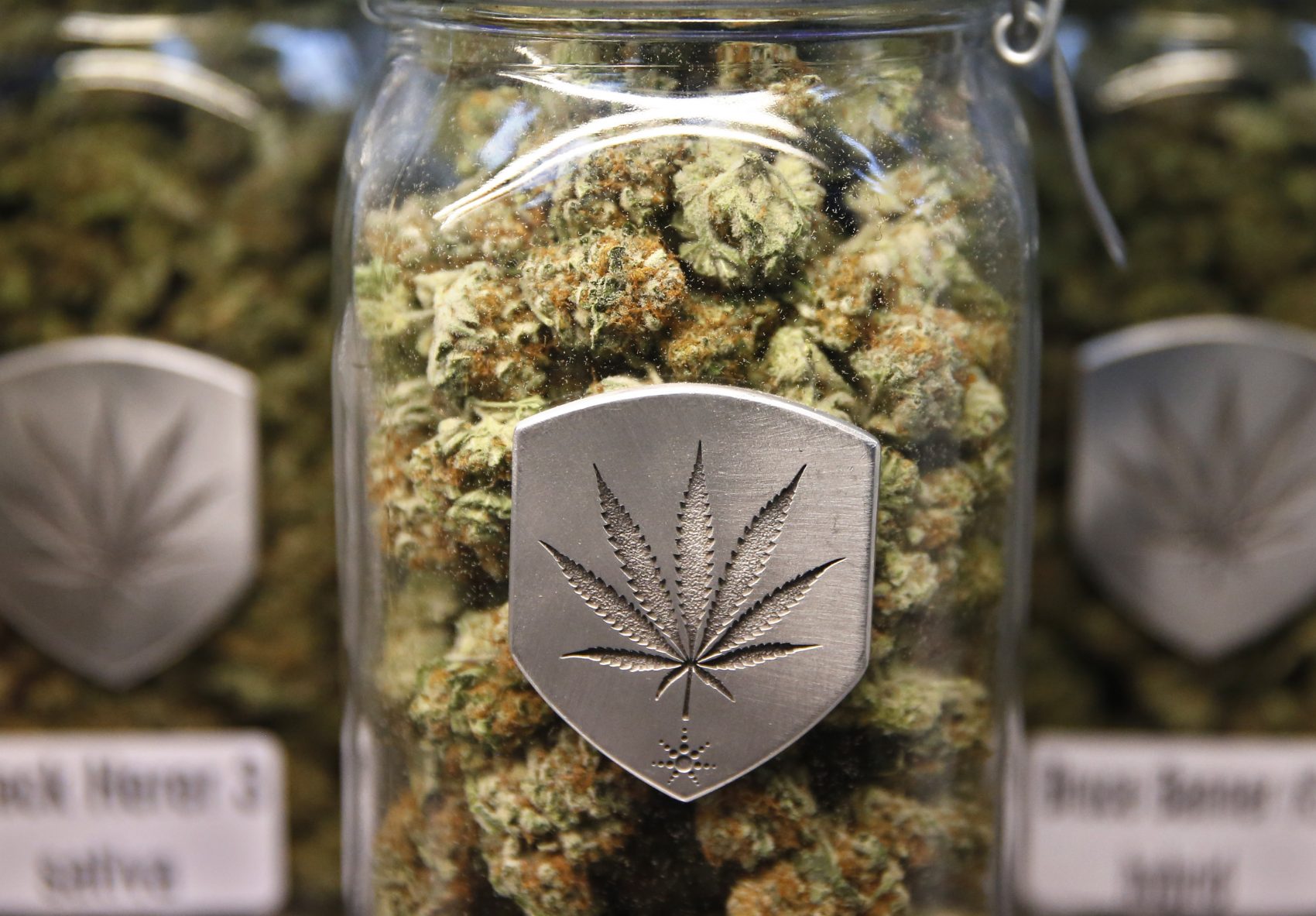 Pot Faux Pas: A Cannabis Club Owner Weighs In On Marijuana Etiquette