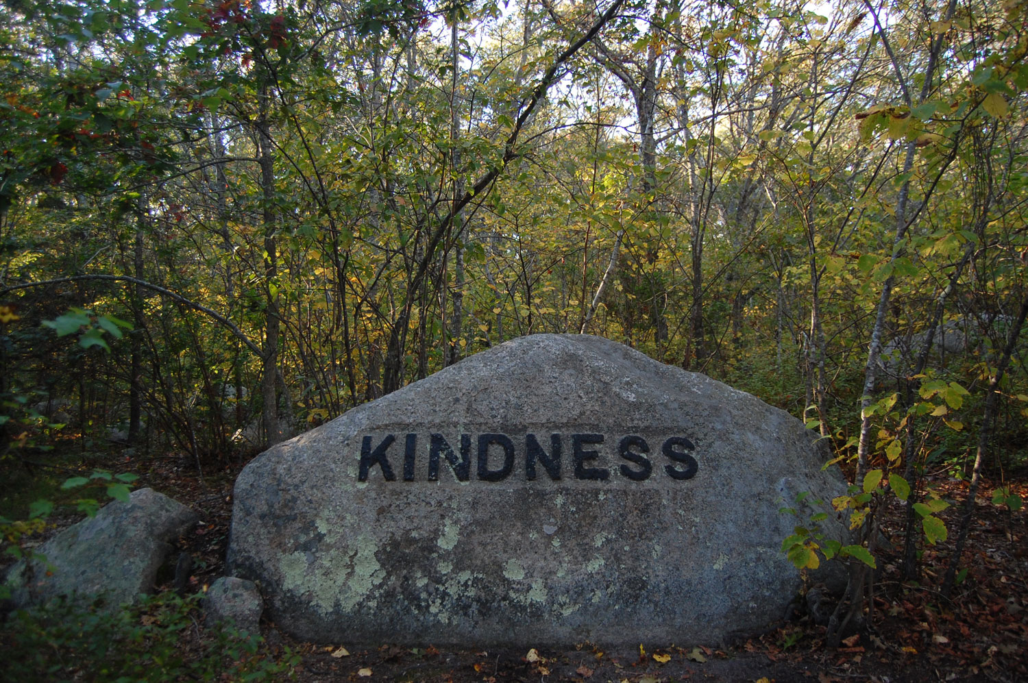 &quot;Kindness&quot; boulder in Gloucester's Dogtown woods. (Greg Cook/WBUR)