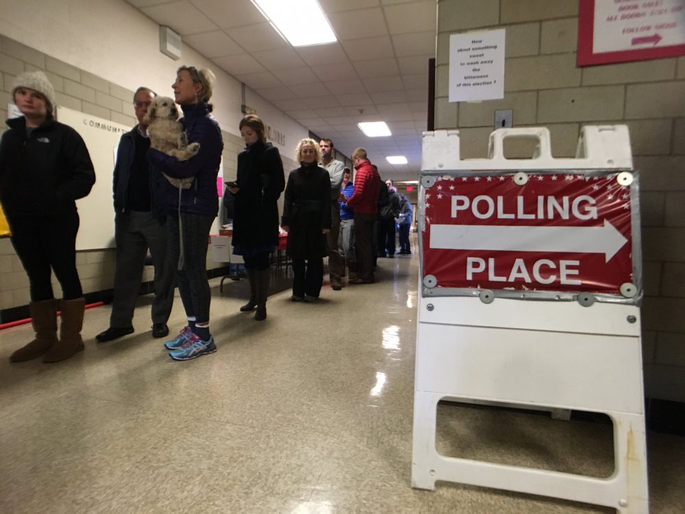 Voters wait in line to cast their ballots at the Phillips School in Watertown. (Robin Lubbock/WBUR)