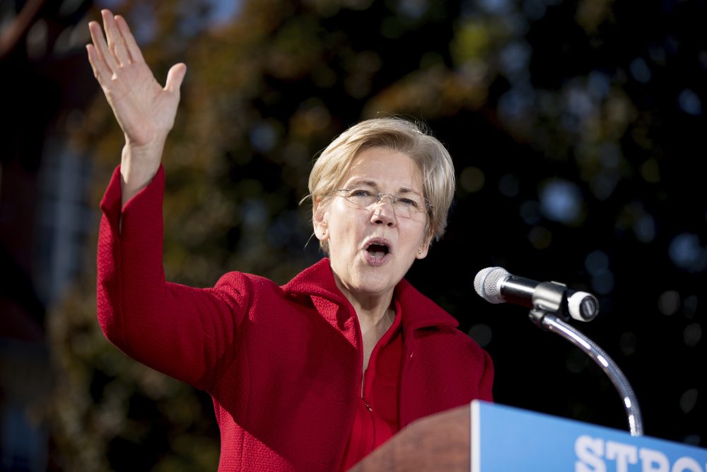In this October 24, 2016, file photo, Sen. Elizabeth Warren, D-Mass. speaks at a rally for Democratic presidential candidate Hillary Clinton at St. Anselm College in Manchester, N.H. (Andrew Harnik/AP)