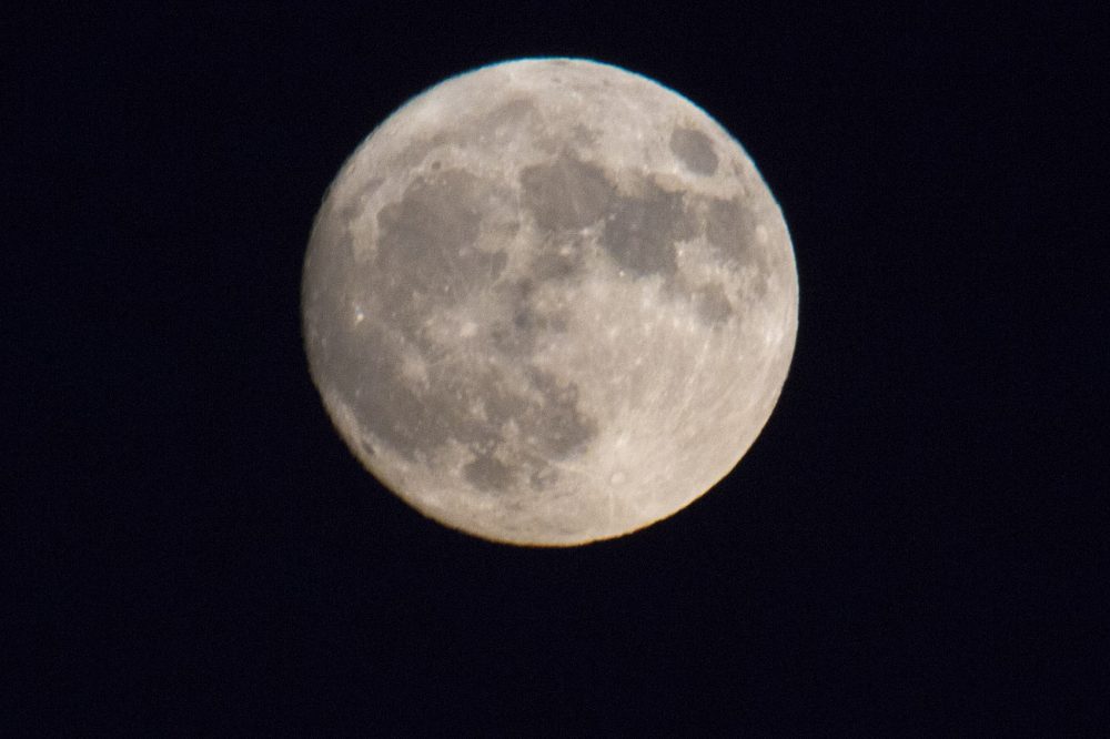 The supermoon rises in the east on Sunday. (Jesse Costa/WBUR)