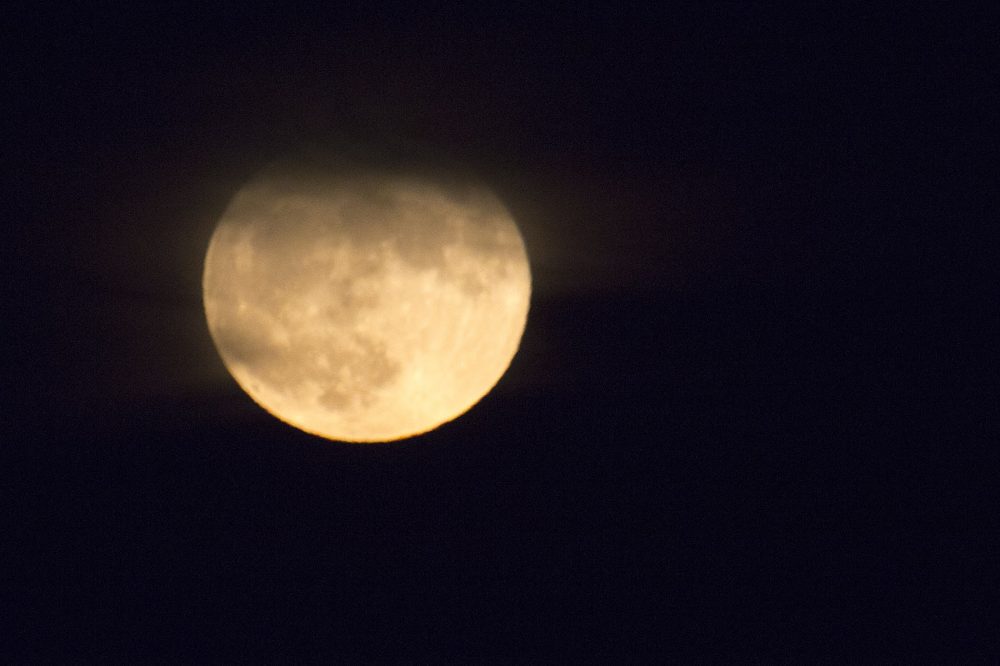The supermoon rising in the east on Monday evening. (Jesse Costa/WBUR)