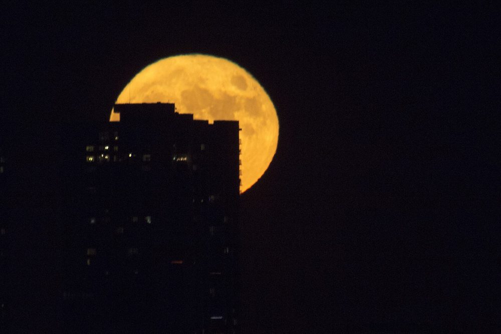 The supermoon rising in the east behind the silhouette of Mass General Hospital on Monday evening. (Jesse Costa/WBUR)