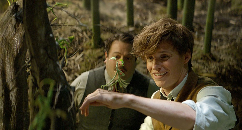 In &quot;Fantastic Beasts and Where to Find Them,&quot; Eddie Redmayne as Newt Scamander introduces Dan Fogler as Jacob Kowalski to a beast called a Bowtruckle. (Courtesy of Warner Bros. Pictures)