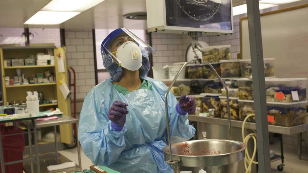 Shraddha Patel, a first year pathology resident, weighs organs during an autopsy. (Irina Zhorov/The Pulse)