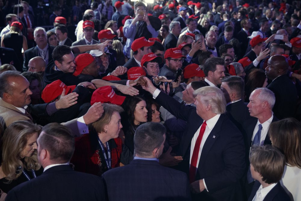 President-elect Donald Trump shakes hands during an election night rally in New York. (Evan Vucci/AP)