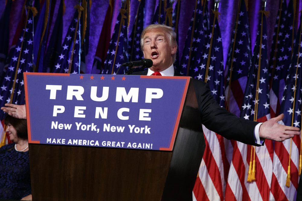 President-elect Donald Trump speaks during an election night rally in New York. (Evan Vucci/AP)