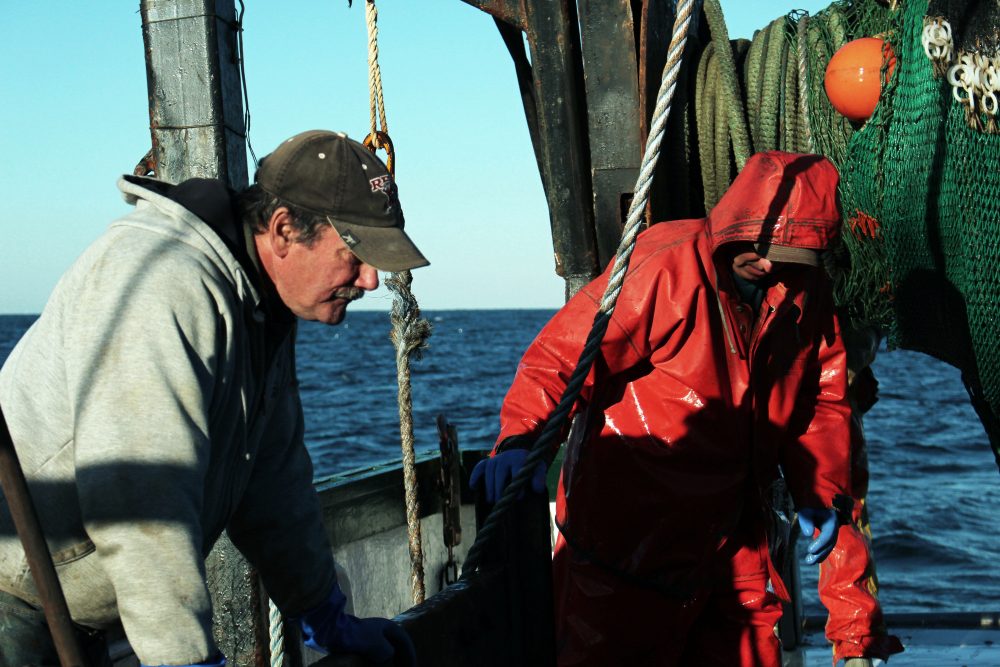 Captain Rodman Sykes (left) inspects fish caught for the research surveys. (Ambar Espinoza/Rhode Island Public Radio)
