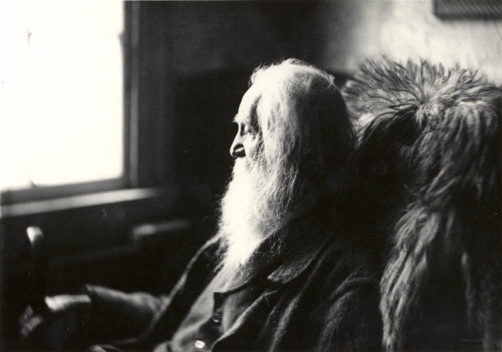 Poet Walt Whitman was watching the election in 1884, and he wrote a poem called “Election Day November 1884." (Samuel Murray via Wikimedia Commons)