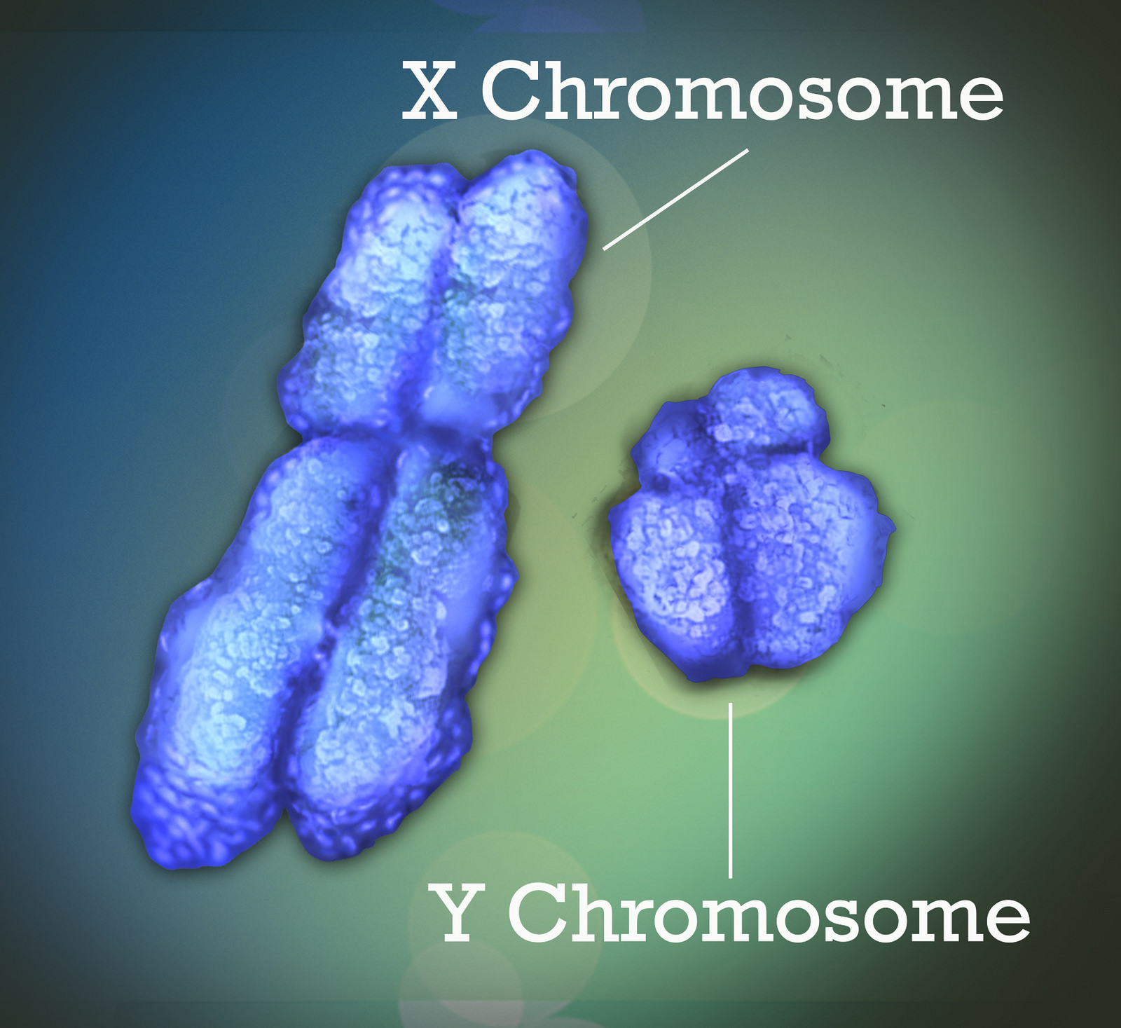 Why Do More Men Get Cancer Than Women? X Chromosome May Hold A Key