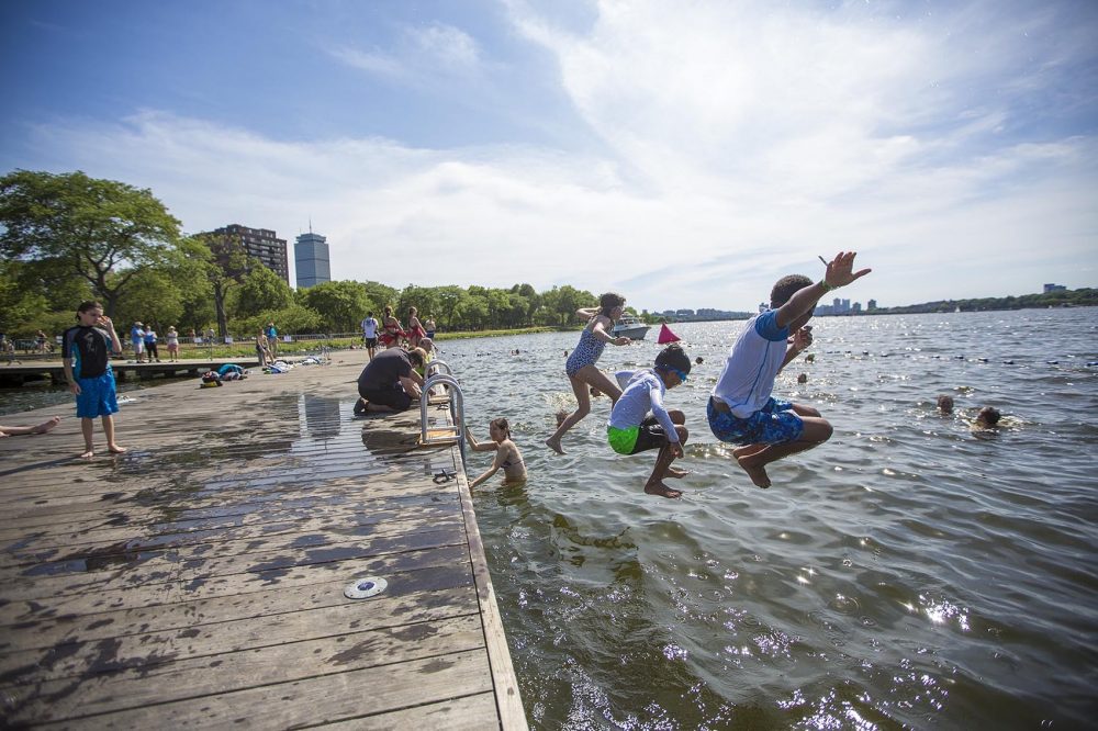 A group of kids from Cambridge dive into the Charles River. (Jesse Costa/WBUR)