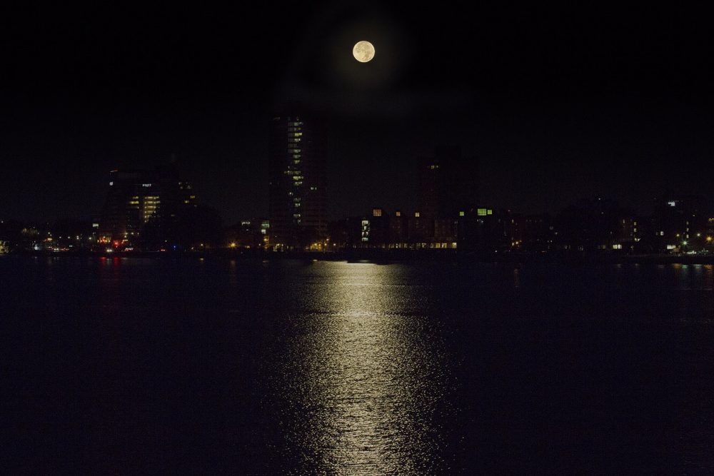 The supermoon reflecting off the Charles River in the early morning on November 14, 2016. (Jesse Costa/WBUR)