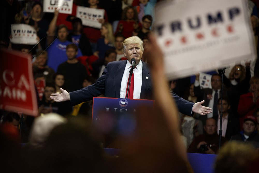 President-elect Donald Trump gestures as he speaks during a &quot;USA Thank You&quot; tour event, Thursday, Dec. 1, 2016, in Cincinnati. (Evan Vucci/AP)