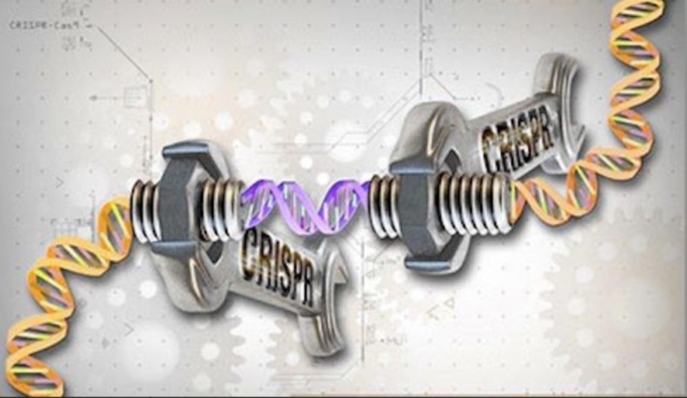 (CRISPR image by NIH)