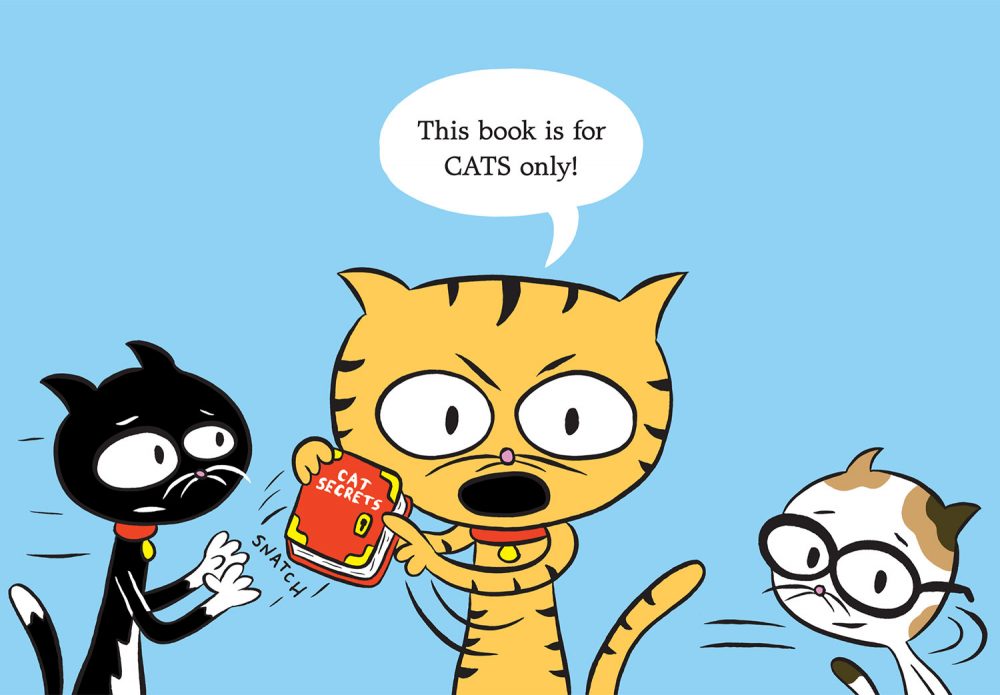 Jef Czekaj's book &quot;Cat Secrets.&quot;(Courtesy of Jef Czekaj)