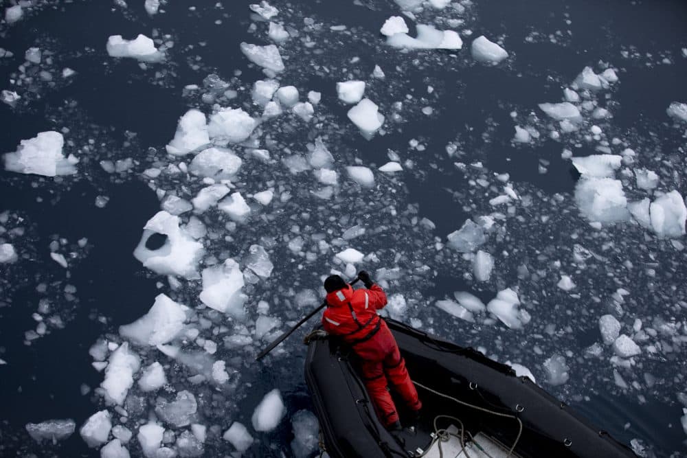 In this Jan. 22, 2015 Manuel Fuentes, a Chilean Navy member, paddles through glacial melting in Antarctica. (Natacha Pisarenko/AP)