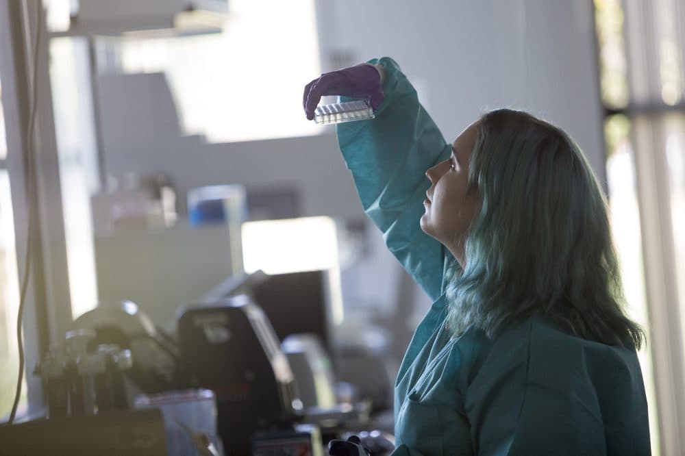 Jes Barbagallo performs a manual inspection of DNA samples at the Broad Institute. (Jesse Costa/WBUR)