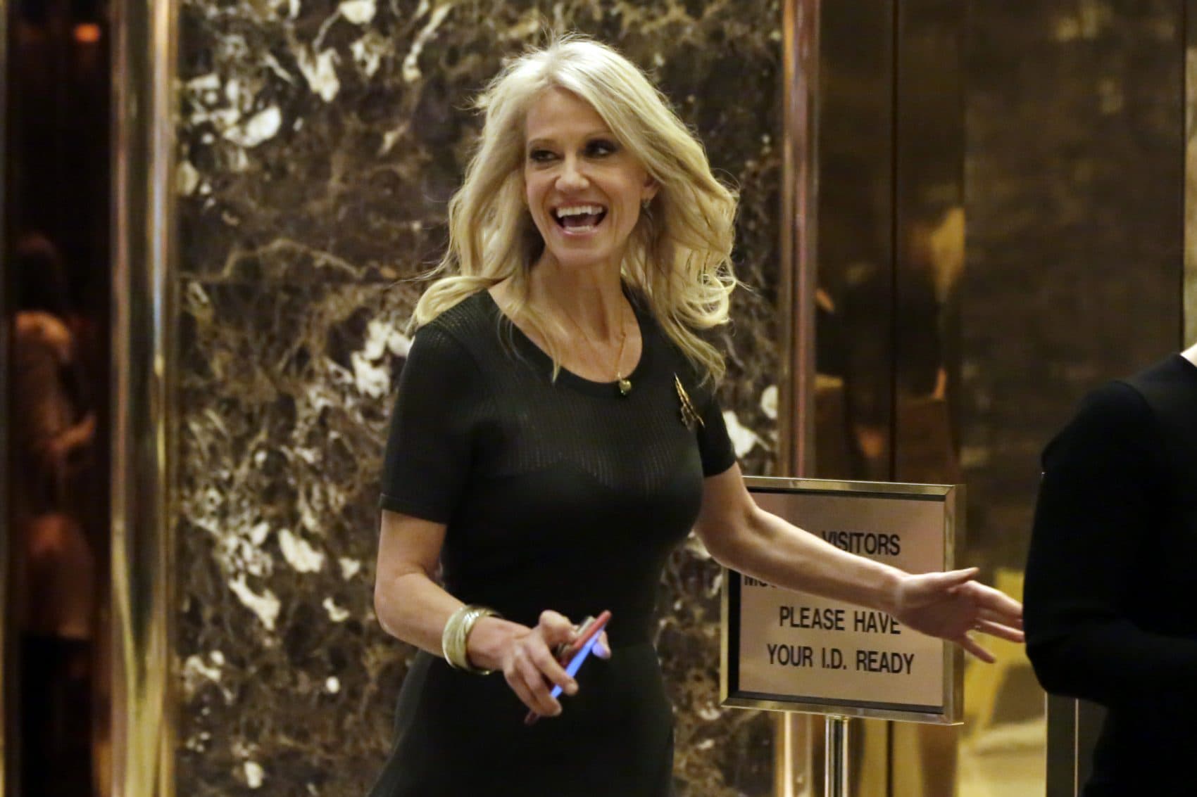 The Sublime, Terrible And Not To Be Underestimated Kellyanne Conway