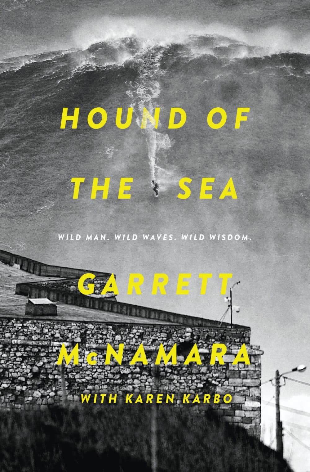 &quot;Hound of the Sea,&quot; by Garrett McNamara.