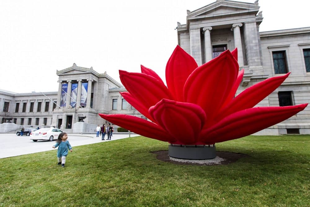 A 2-year-old girl cautiously approaches the inflated breathing flower on the front lawn of the Museum of Fine Arts, Boston. (Jesse Costa/WBUR)