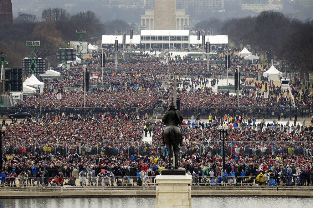 People stand on the National Mall to watch Donald Trump's inauguration. (Patrick Semansky/AP)